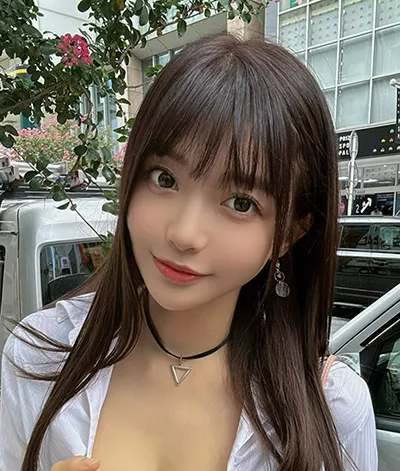 雾港迷案 悬疑电视剧全集手机在线观看